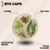BTS caps