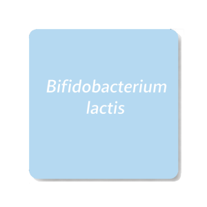 Bifidobacterium lactis