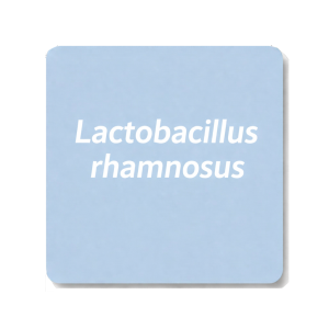 Lactobacillus rhamnosus