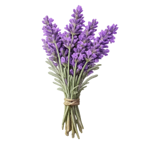 Lavandin