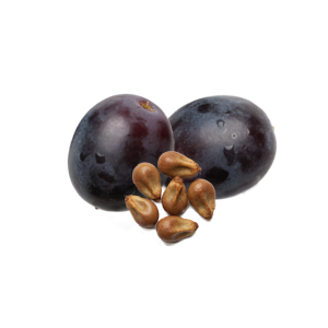 Extrait de pépins de Raisin (Vitis vinifera)