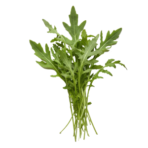 Roquette