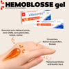 HEMOBLOSSE 2