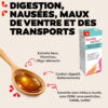 digestion 2