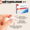 métabolisme 2