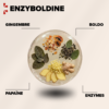 Enzyboldine
