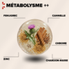 Métabolisme