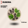 RUBORA
