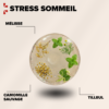 Stress sommeil