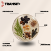 Transit+