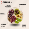 circul +