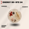 eEnergy IM+