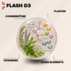 flash d3